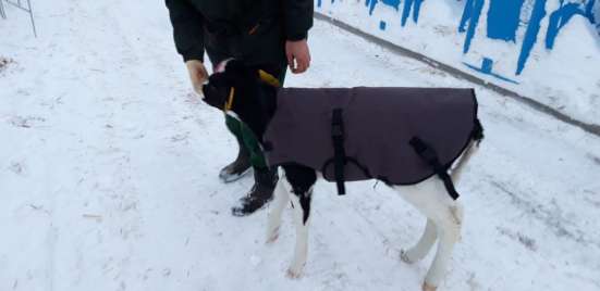Попоны на заказ