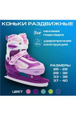 Коньки