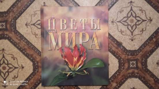 Серия "самые красивые и знаменитые" в Костроме фото 3
