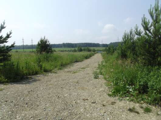 Участок в пригороде. Поселок в Екатеринбурге фото 8