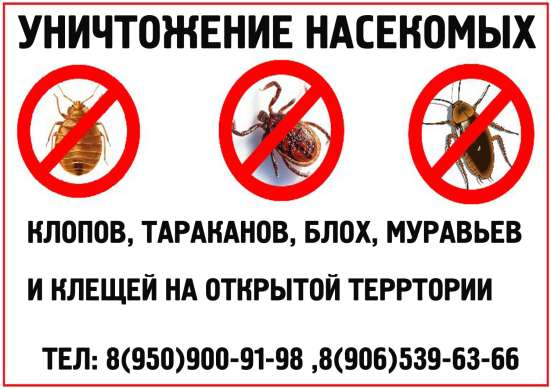 Избавиться от тараканов, уничтожение тараканов