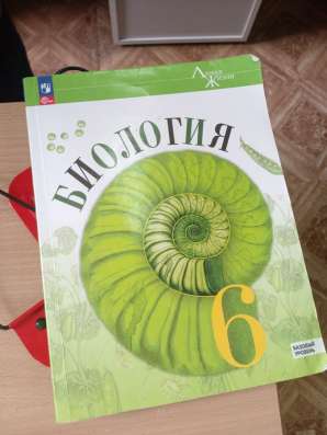 Учебник по биологии 6 класс