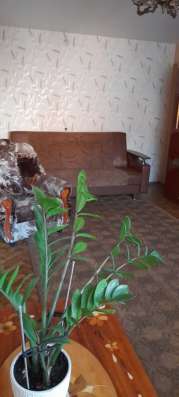 Сдаю комнату 18 кв. м