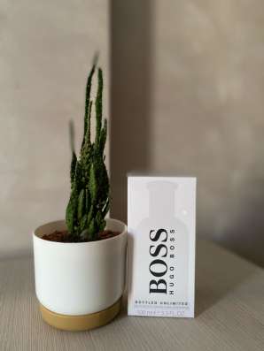 Hugo boss bottled unlimited