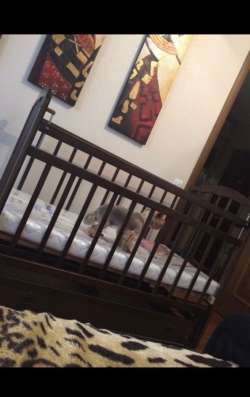 Продам детскую кроватку фото 3