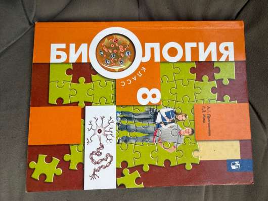 Учебники в Сходне
