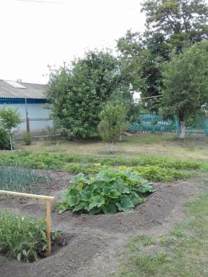Продается дача в Волгограде фото 5