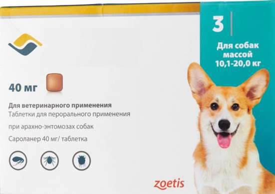 Обработка собак от блох и клещей Симпарика