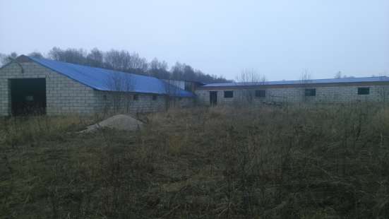 продажа фермы в Износках в Калуге фото 4