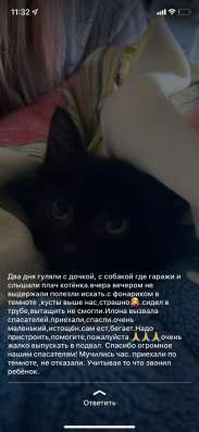 БЕСПАЛТНО ОТДАМ в Петропавловск-Камчатском