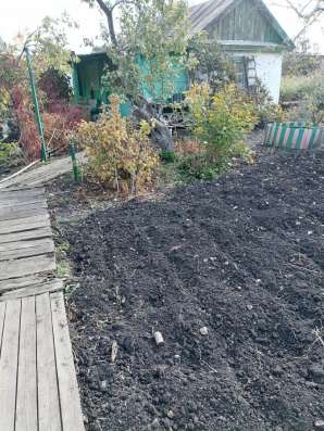 Продам сад в Магнитогорске фото 3