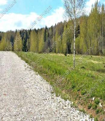 realty_mapper3.plot_in_locationСадовое некоммерческое тов-во. Площадь 12.00 сот.Есть Электричество. в Москве фото 4