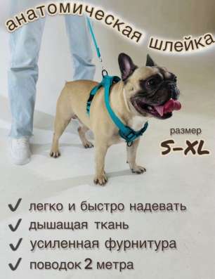 Шлейка для собак оптом