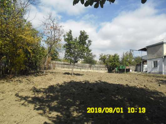Dacha фото 15