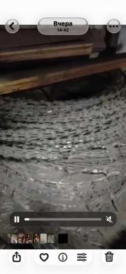 Колючая проволока Егоза