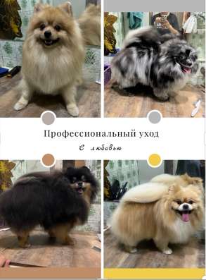 Груминг собак и кошек в Краснодаре фото 3