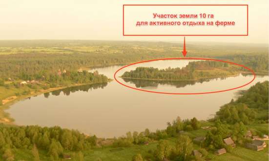 Продам полуостров в Санкт-Петербурге фото 3