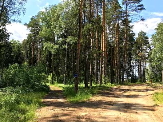 Дом 105 м2 в Городце фото 9