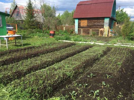 Продам дом в Вологда.Жилая площадь 50  кв.м. в Вологде фото 3