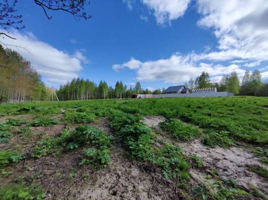 Продам Участок 22,5 соток Клинский рн