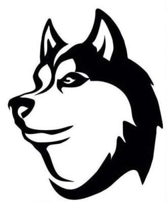 DogPride в Новосибирске в Новосибирске