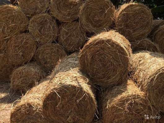 Продам Сено и Солому в Чайковском