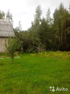 Продам дачу в Костроме фото 15