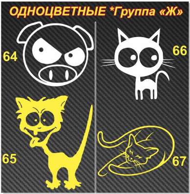 Автонаклеки в Владивостоке фото 7