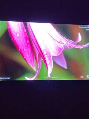 телевизор tcl 55c655 pro