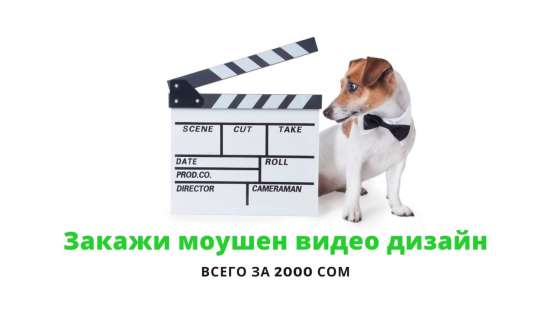 Закажи Моушен видео дизайн!