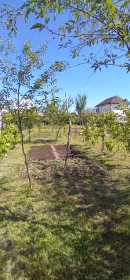 Продам земельный участок в Краснодаре фото 3