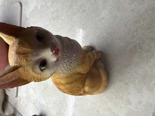 Кот статуэтка в Казани