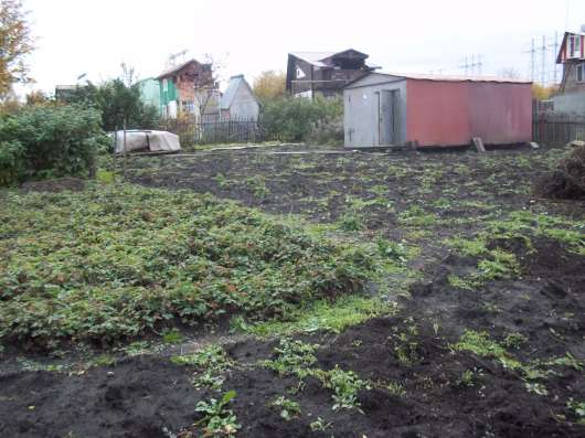 Продам дачный участок