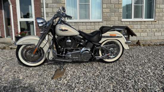 Harley-Davidson softail Deluxe в Находке фото 13