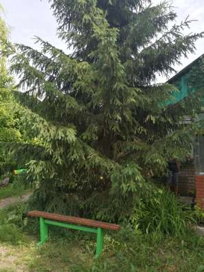 Продаю дачу за Волгой! в Самаре фото 6