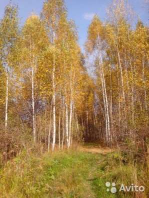 Продам дачу в Костроме фото 3