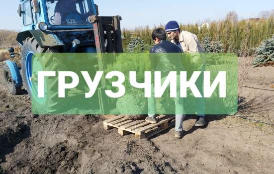 Грузчики / Переезды / 24 часа в Рязани фото 4