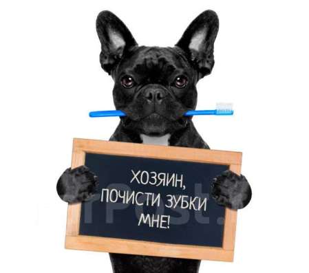 Ветклиники "Ваш Доктор "