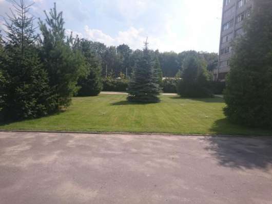 Продам однокомнатную квартиру в Воронеже. Жилая площадь 40 кв.м. Этаж 3. Дом кирпичный. в Воронеже фото 6
