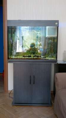 Аквариум anubias A800+