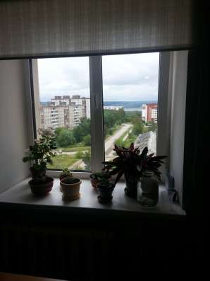 Супер конфетка в Перми фото 16