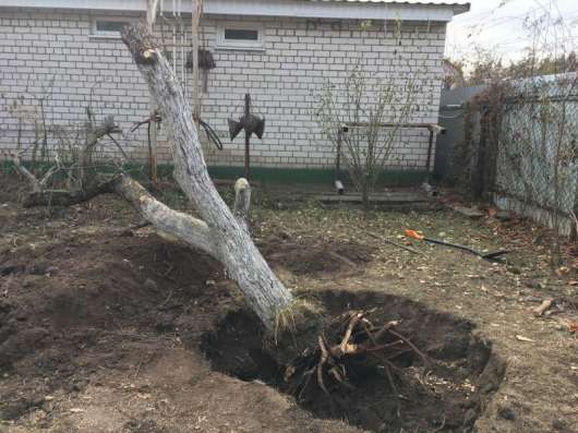 Земляные работы, Благоустройство: Недорого! Воронеж в Воронеже фото 26