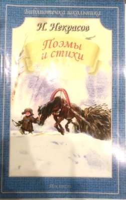 Школьная литература в Нижнем Новгороде