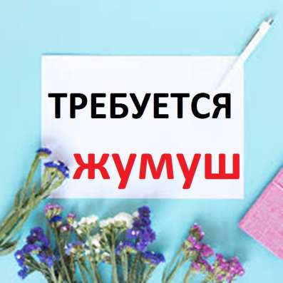 Требуется с опытом электрик (мастер на все руки) !