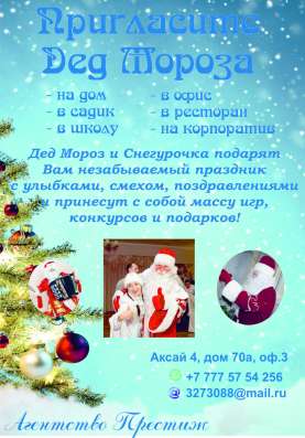 Дед мороз и снегурочка на дом фото 3