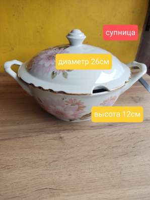 Сервиз Столовый Астры-Хризантемы в Балашихе фото 11