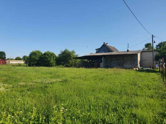 Продам дачу возле Нарвы. Участок 3700м2 фото 3