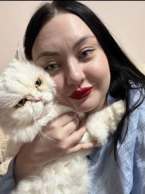 Передержка домашних животных