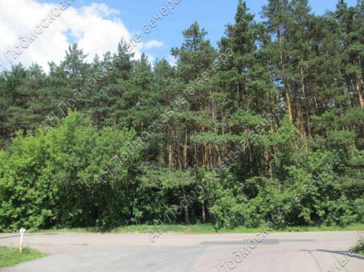realty_mapper3.plot_in_locationСадовое некоммерческое тов-во. Площадь 6.00 сот.Есть Газ.