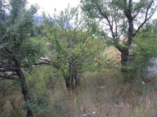 Продается участок в Алупке, Ялтинский район .